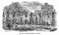 /album/slavernij/a24-africanslavestransport-jpg/